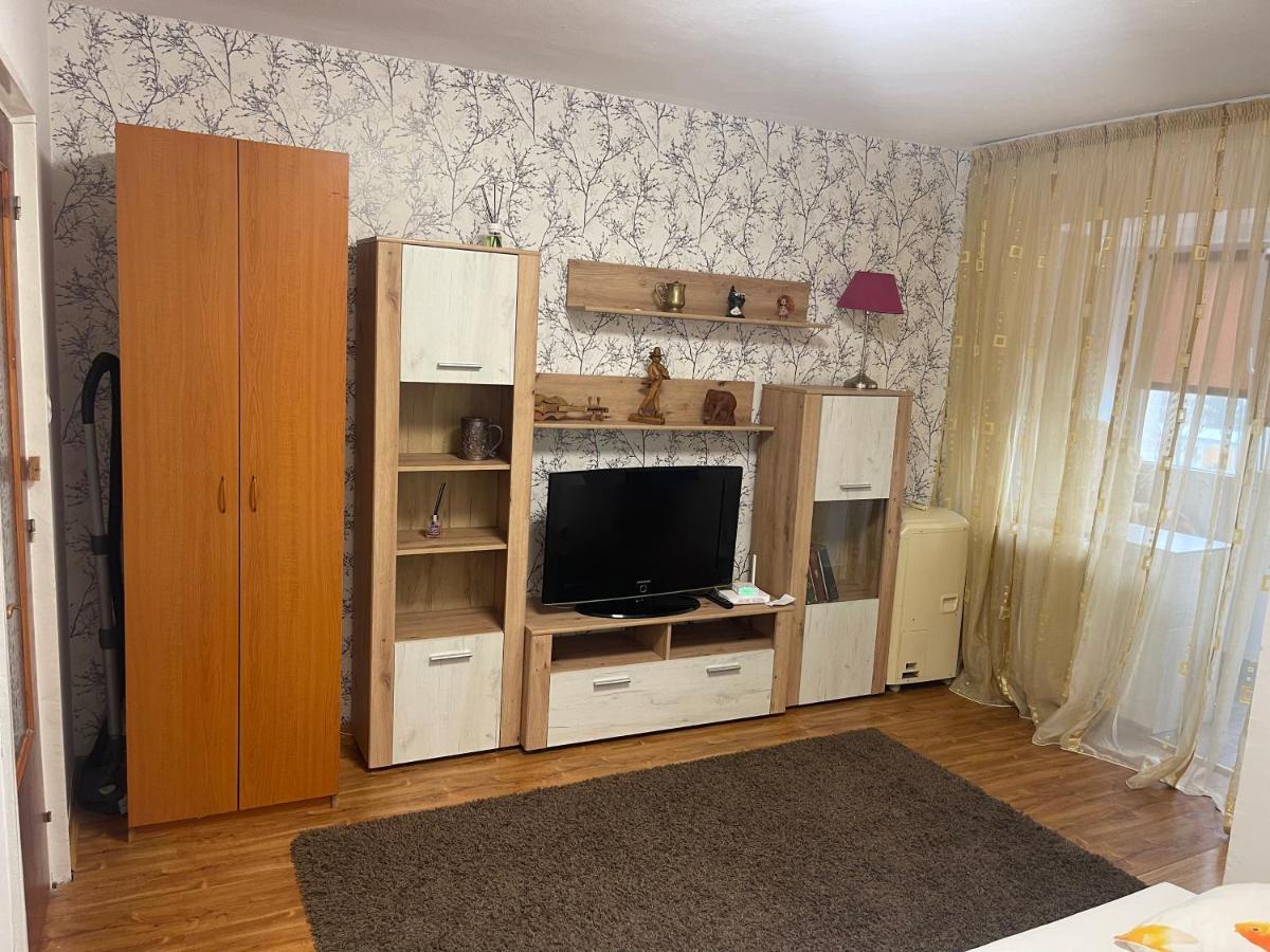 Garsoniera -Single Room 91 Boekarest Buitenkant foto